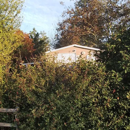 Au Temps Suspendu - 3 - Au Coeur De La Nature - A 10 Minutes Des Commerces Vielle-Tursan